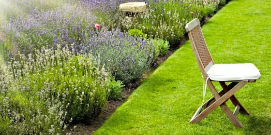 Landscaped yard with stone walkway and planted borders
